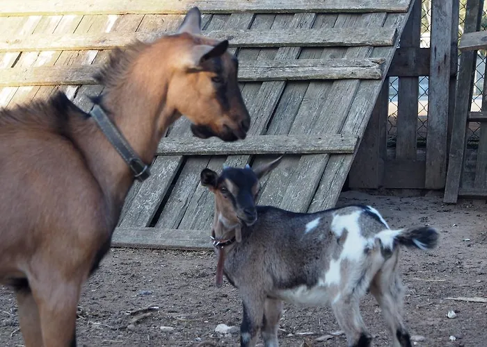 La Carcara Alloggio per agriturismo Otranto