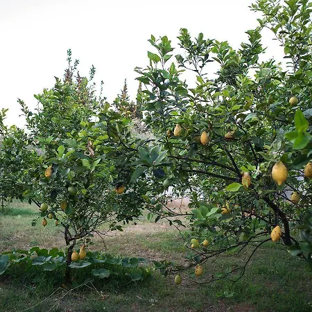 La Carcara בית חווה אוטרנטו