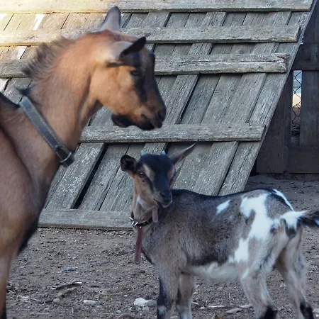 La Carcara ファームステイ オートラント