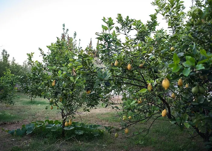 La Carcara Alloggio per agriturismo Otranto